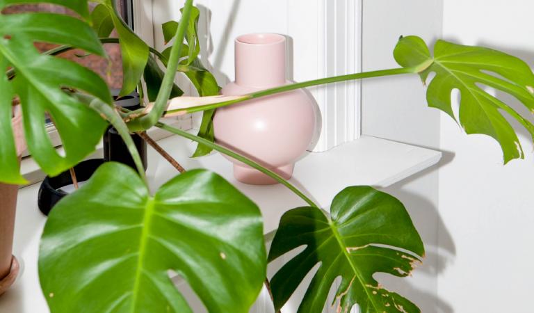 CULT BUYS: VASES