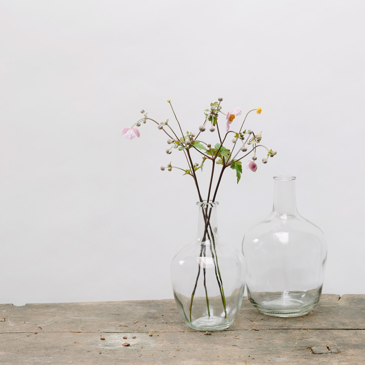Bottle Neck Glass Vase