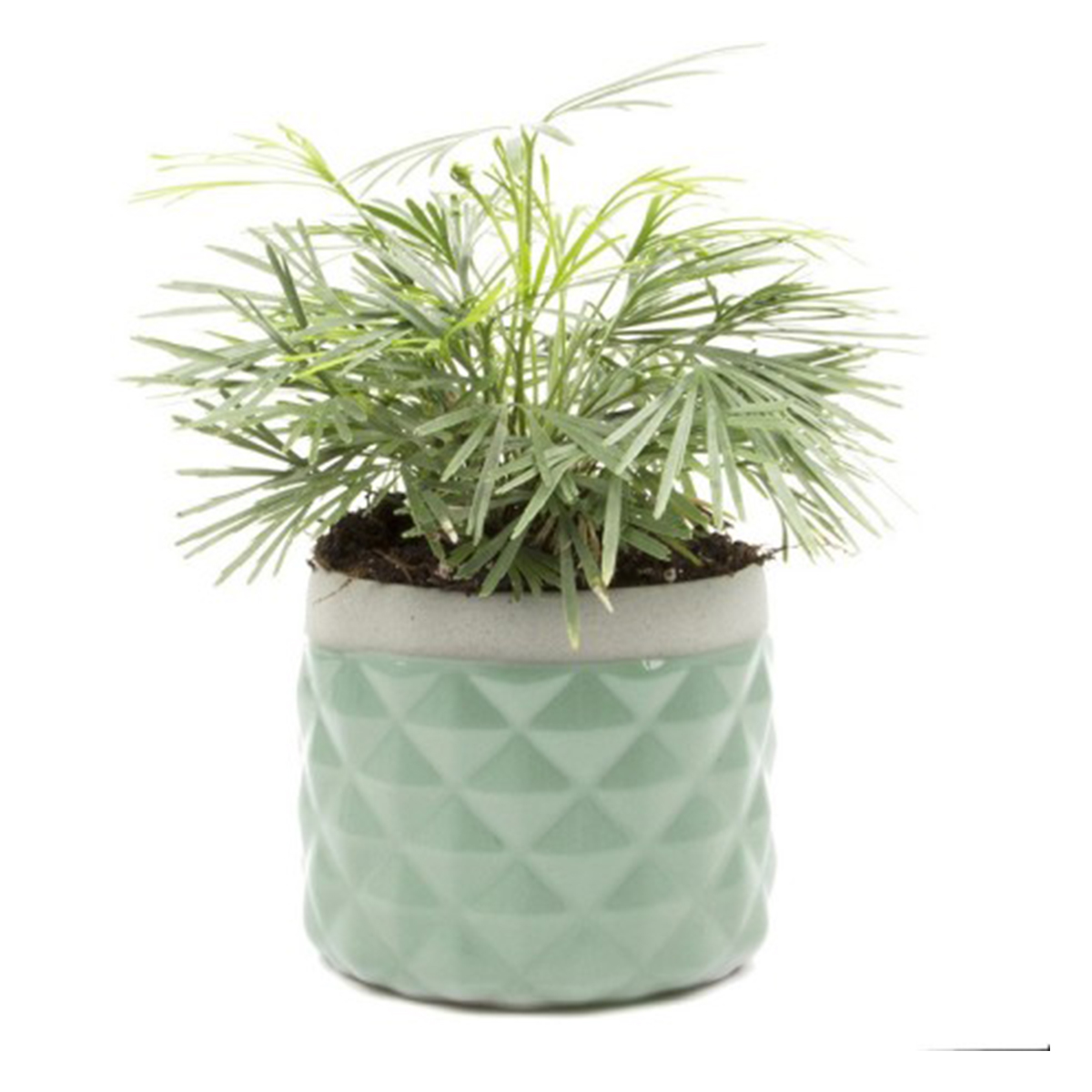 Pina Mini Plant Pot