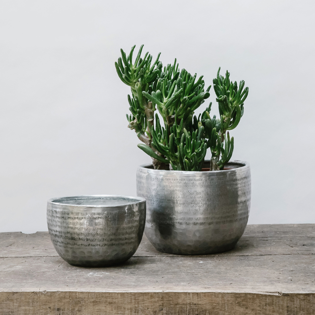 Silver Embossed Planter
