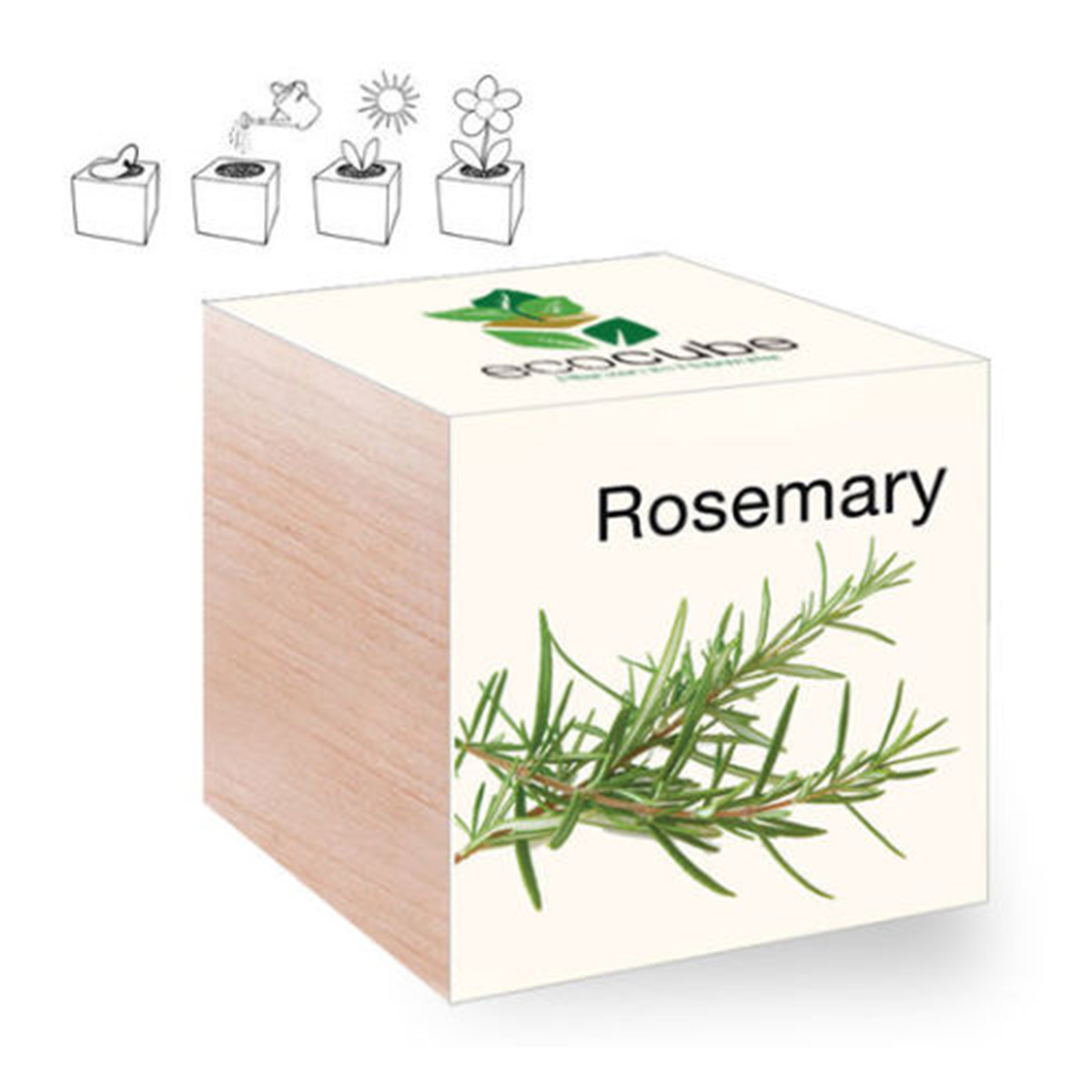 Rosemary Ecocube