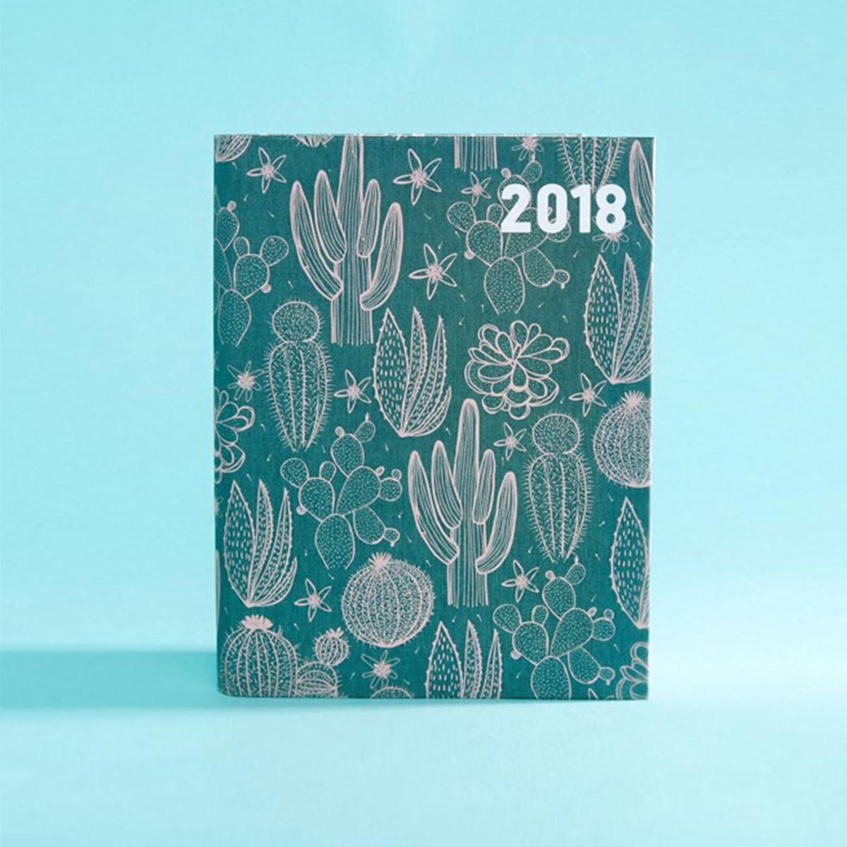 Cactus Garden 2018 Diary