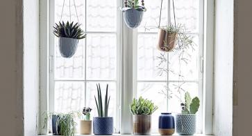 Cult Buys: Planters