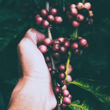 Well-being Websites We Love