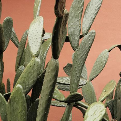 8 Ways to Bring Terracotta into Your Home